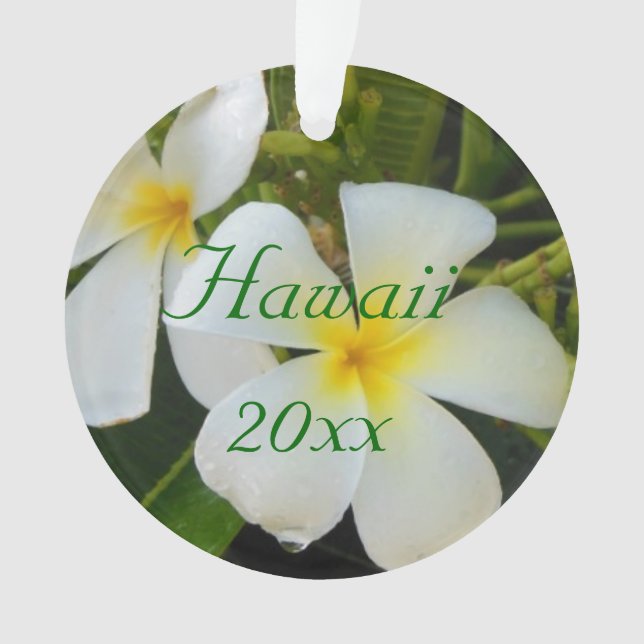 Adorno Plumeria de Hawái (Anverso)