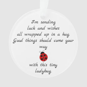 Adorno Poema de Ladybug: Deseos, abrazos y buena suerte