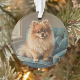 Adorno Pomerania