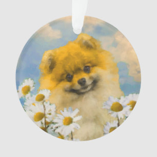 Adorno Pomerania en pintura de Daisies - Arte de perro or