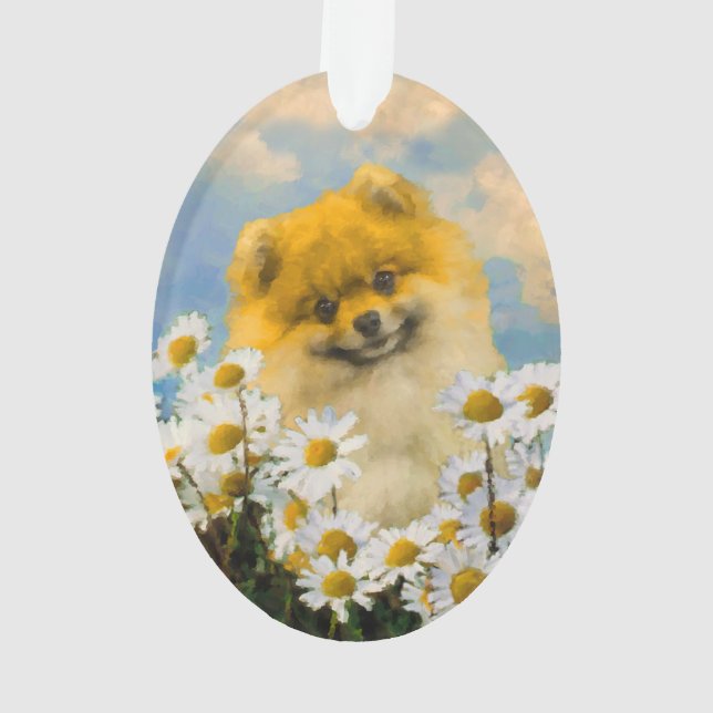 Adorno Pomerania en pintura de Daisies - Arte original de (Reverso)