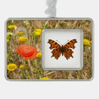 Adorno Poster de postales de mariposa de coma aislado