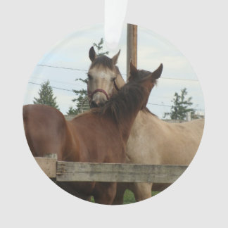 Adorno Preparación del caballo