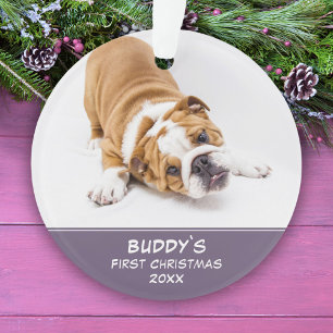 Adorno Primer Collar de Navidad para Cachorro Lavanda Fot