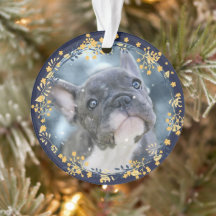 Primer Hanukkah Keepsake del bebé o Mascota