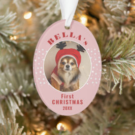 Adorno Primer Mascota de perro de Navidad foto estrellas 