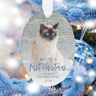 Adorno Primera Navidad Hogar Permanente Mascota Foto Óval