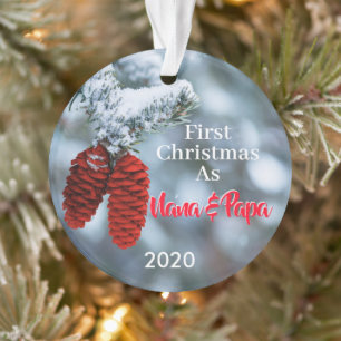 Adorno Primera Navidad: Nuevos abuelos de Nana y Papa