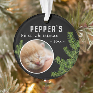 Adorno Primera Navidad Pine Kitten Cat 2 Photo Keepsake