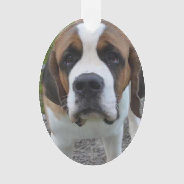 Adorno Producto del personalizar (Anverso)