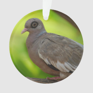 Adorno Producto del personalizar