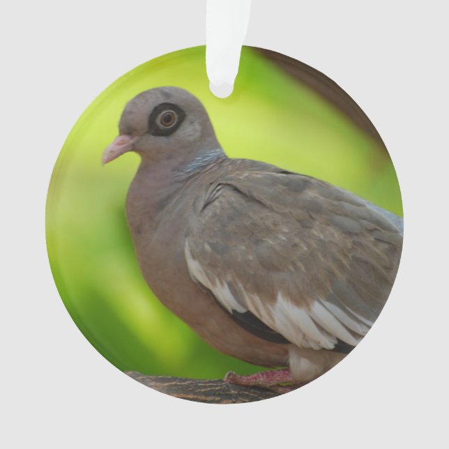 Adorno Producto del personalizar (Anverso)