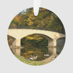 Adorno Puente Arcoíris en Otoño en Grove City College