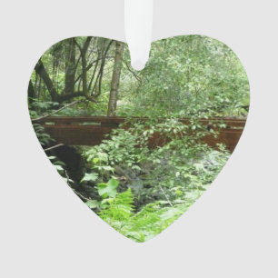 Adorno Puente Muir Woods I