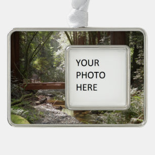 Adorno Puente Muir Woods II