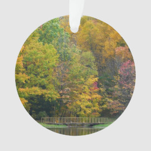 Adorno Puente Seven Springs Fall II Paisaje de Otoño