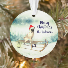 Adorno Pug en un Navidad consentido