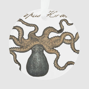 Adorno Pulpo Kraken Antiguo Marino Vida Silvestre Costera