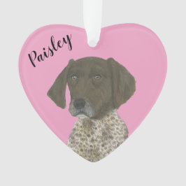 Adorno Puntero alemán de corto alcance con hígado rosado 