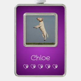 Adorno Purple Pet Photo Ornament - New Puppy Gift