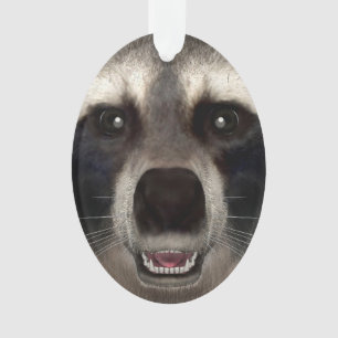 Adorno Raccoon