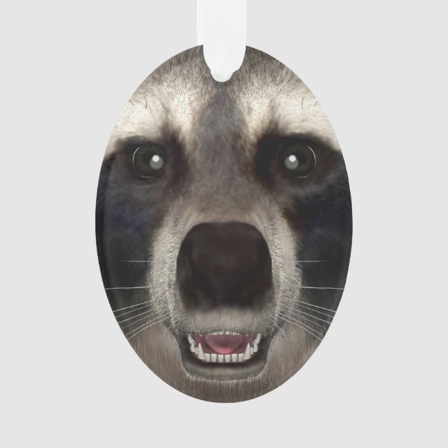 Adorno Raccoon (Anverso)