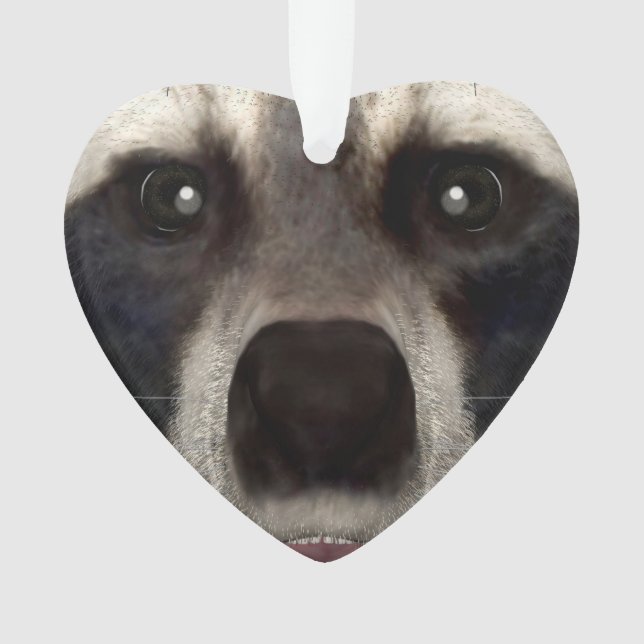 Adorno Raccoon (Anverso)