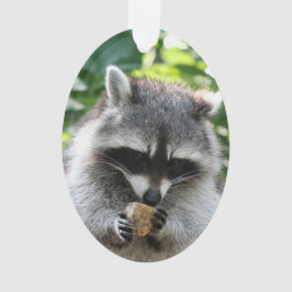 Adorno Raccoon 004