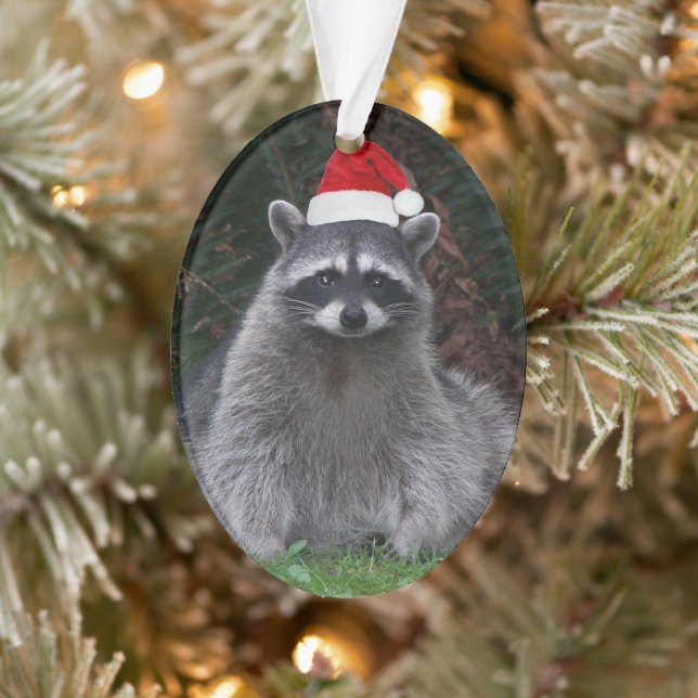 Adorno Raccoon lindo con vacaciones de Red Santa Hat (Árbol)