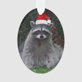 Adorno Raccoon lindo con vacaciones de Red Santa Hat