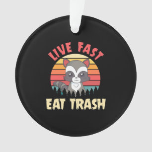 Adorno Raccoon Lover Live Fast Eed Trash