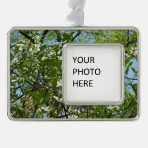 Adorno Ramas de Dogwood florecen árboles de primavera