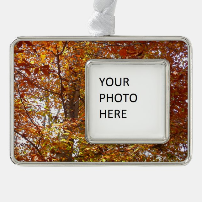 Adorno Ramas de Naranja abandonan la naturaleza otoñal (Anverso)