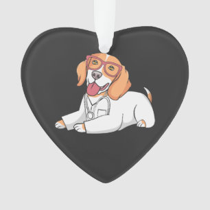 Adorno Recepcionista Médica Veterinaria
