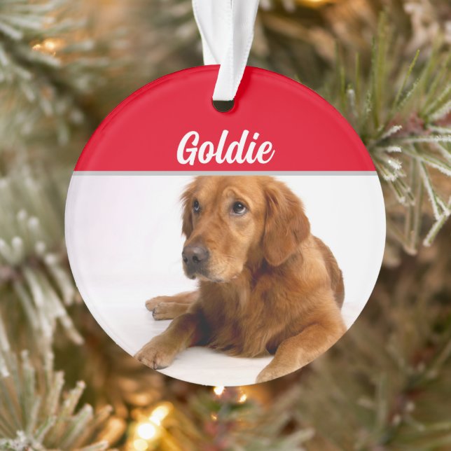 Adorno Recuperador de oro con Navidades de nombres y foto (Árbol)