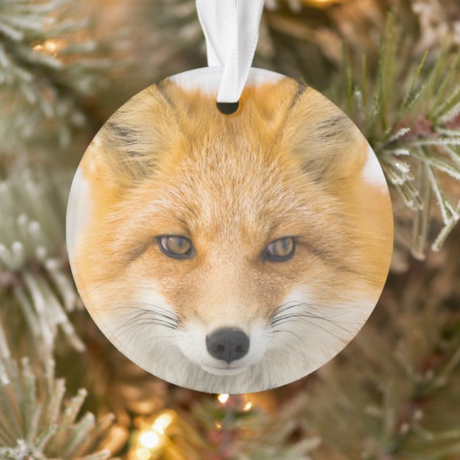 Adorno Red Fox Portrait (Árbol)