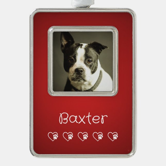 Adorno Red Pet Photo Ornament - Custom Photo (Anverso)