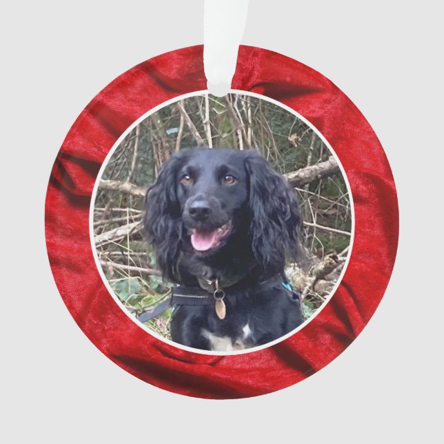 Adorno Red Velvet Pet Photo Christmas (Anverso)