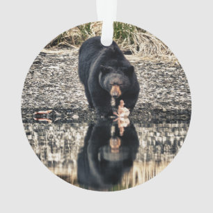 Adorno Reflexiones del oso negro