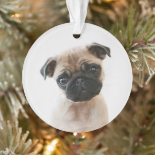Adorno Retrato de Baby Pug