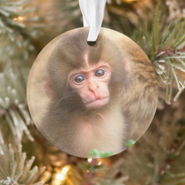 Adorno Retrato de bebé mono de nieve (Árbol)