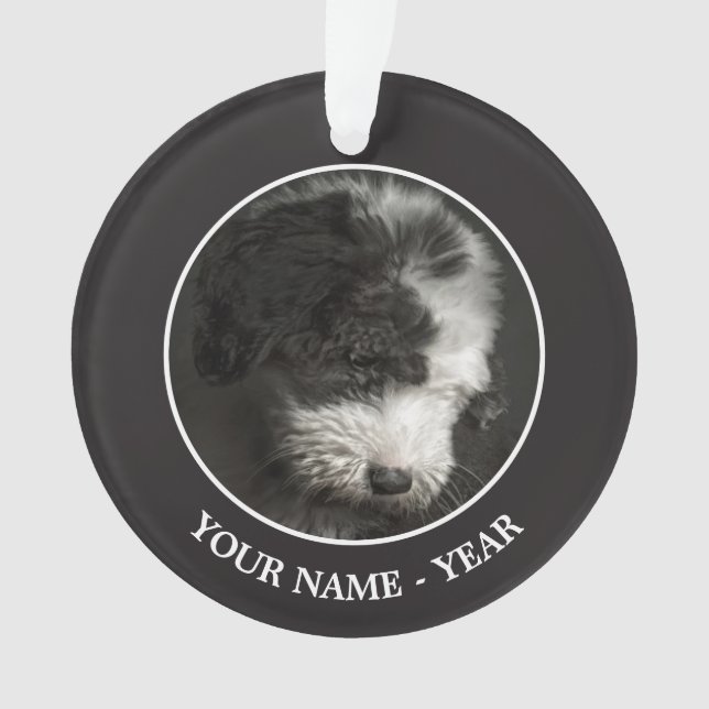 Adorno Retrato de cachorro recortado en estudio (Anverso)