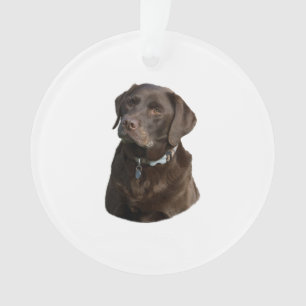 Adorno Retrato de la foto del perro de Labrador del