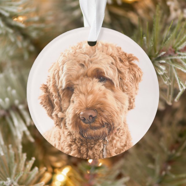 Adorno Retrato Goldendoodle Studio (Árbol)