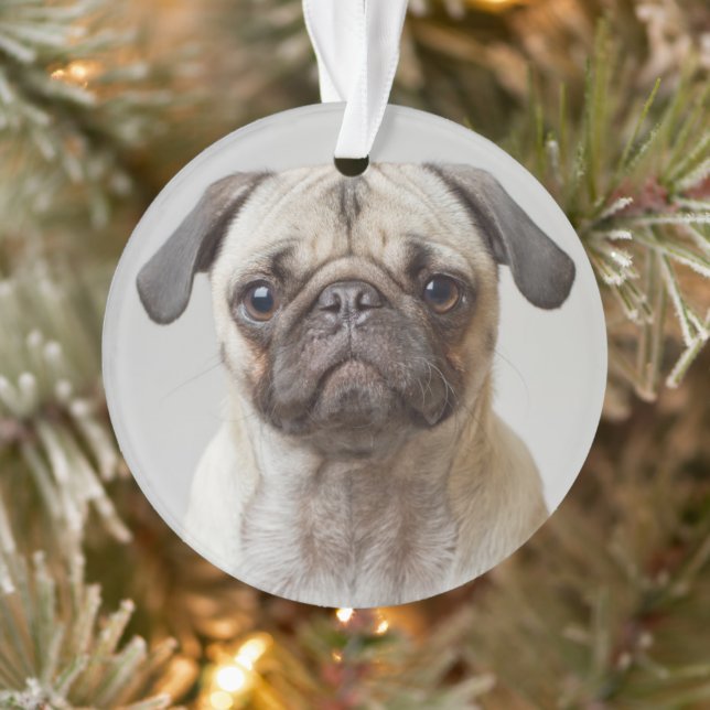 Adorno Retrato Pug (Árbol)