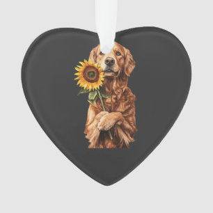 Adorno Retriever Dorado