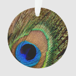 Adorno Retro Peacock