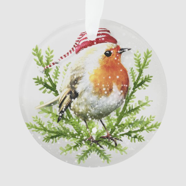 Adorno Robin con Santa Hat y Nieve (Anverso)