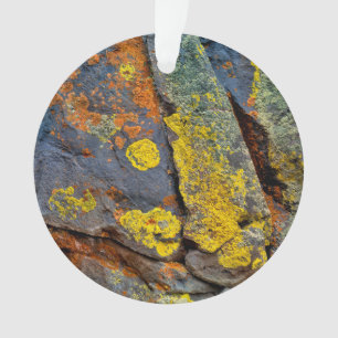 Adorno Rocas Cubiertas de Liquen