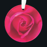 Adorno Rojo Romántico Rosa Rosa v2<br><div class="desc">Rosa rosa y roja romántica.</div>